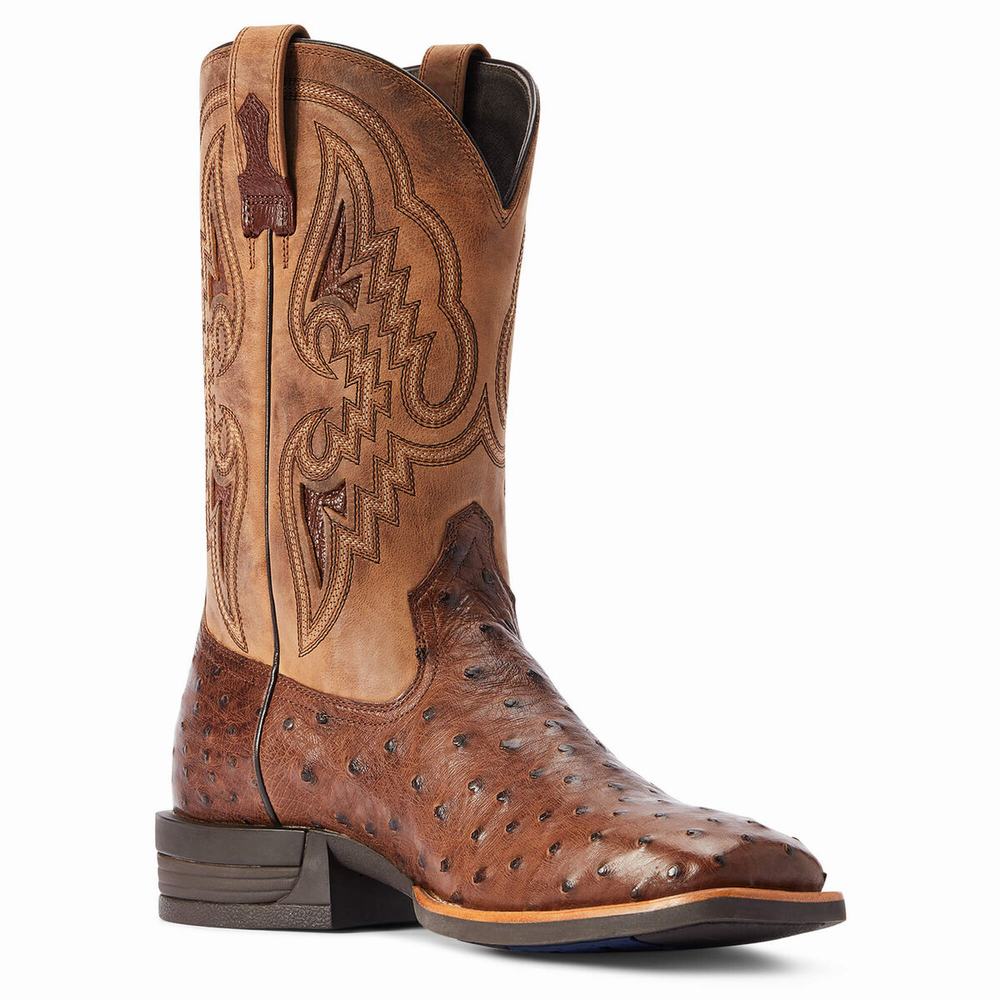 Stivali Western Ariat Dagger Uomo Colorate | IT603KACS