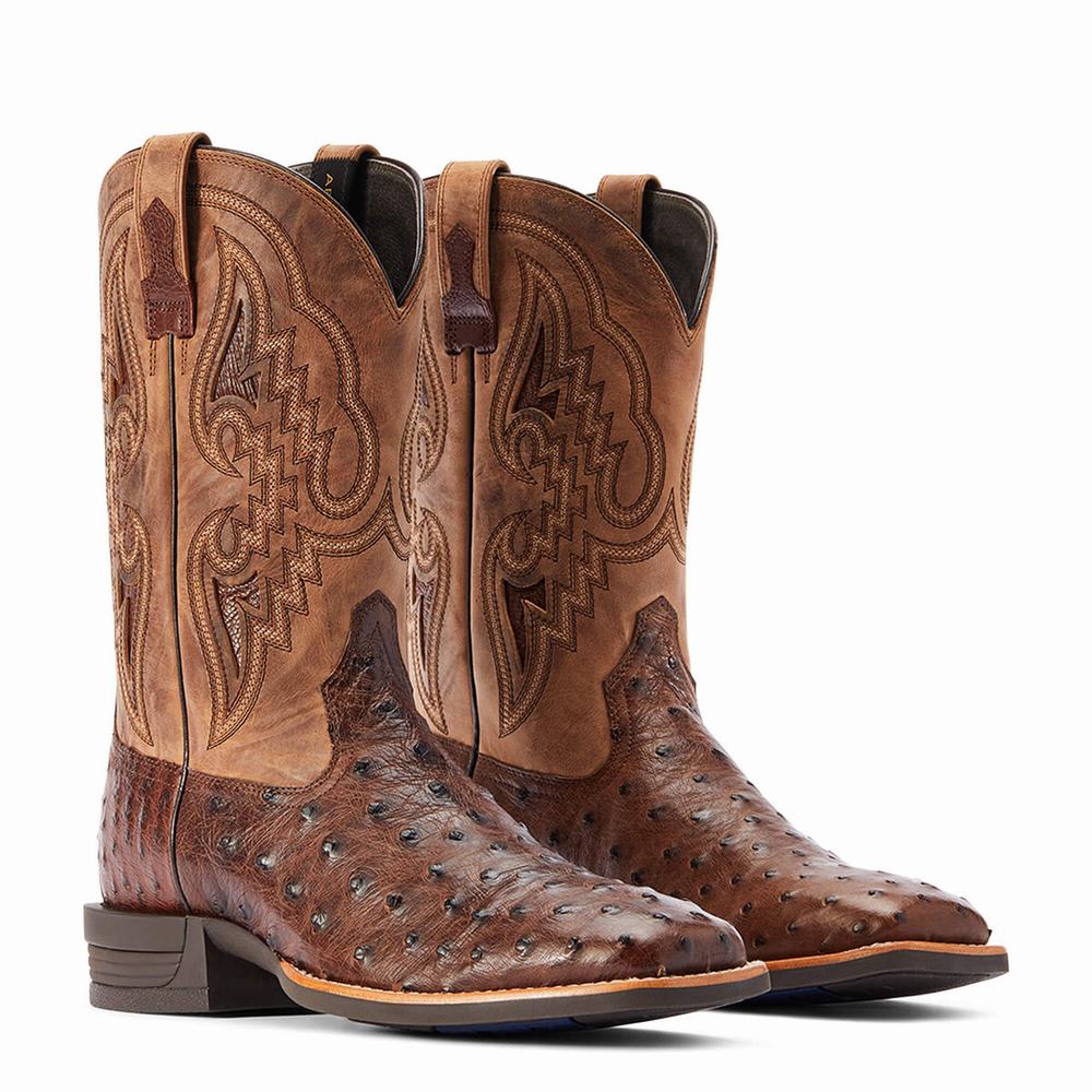 Stivali Western Ariat Dagger Uomo Colorate | IT603KACS