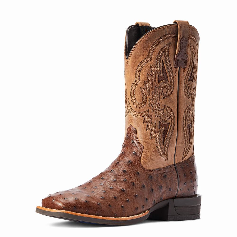 Stivali Western Ariat Dagger Uomo Colorate | IT603KACS