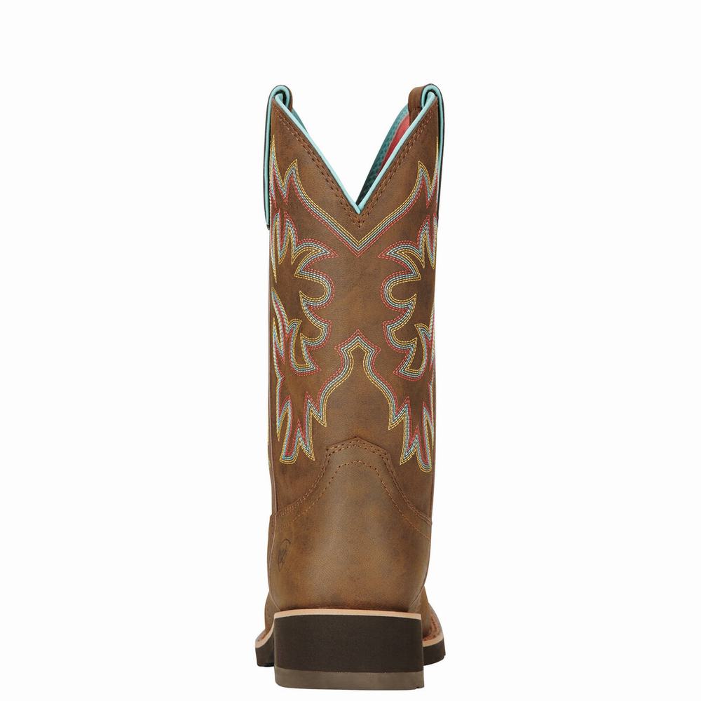 Stivali Western Ariat Delilah Donna Marroni | IT894ZDAS