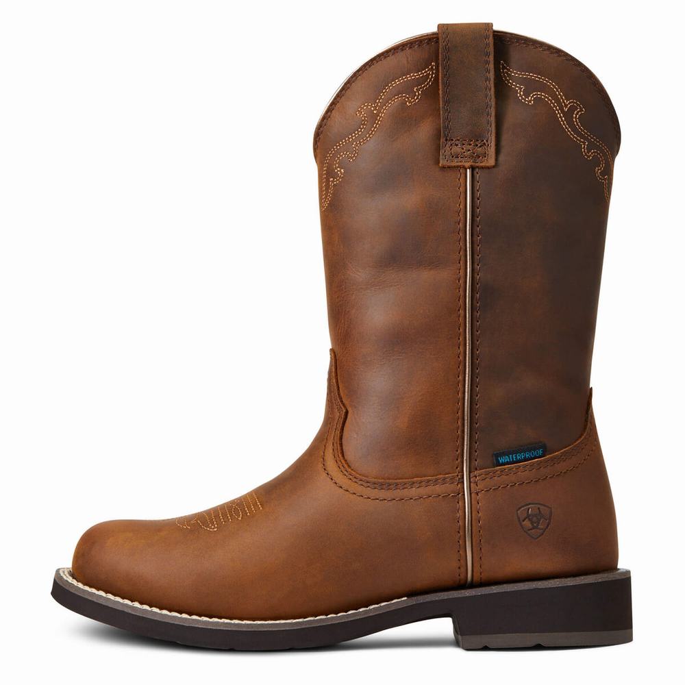 Stivali Western Ariat Delilah Round Punta Impermeabili Donna Marroni | IT352WANP