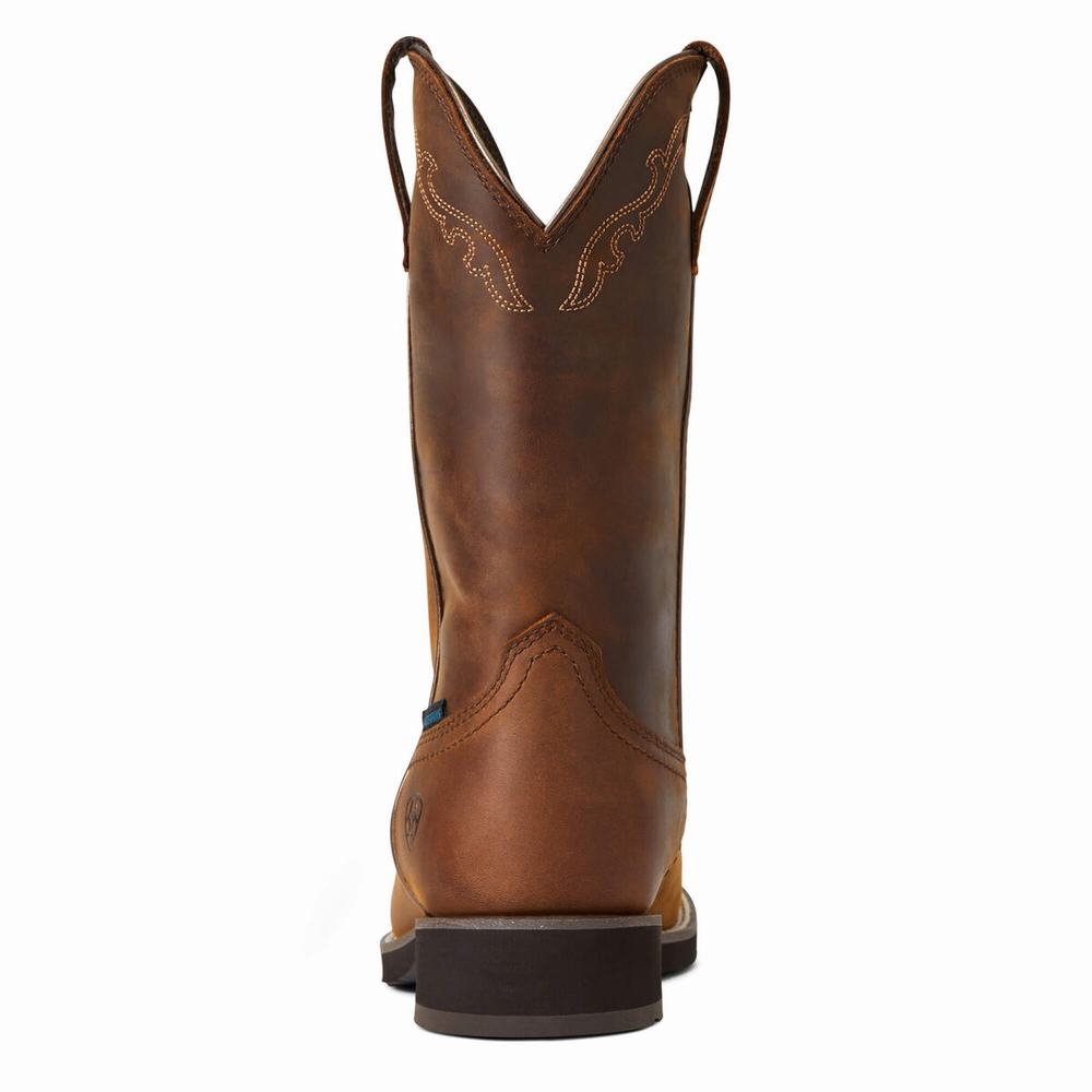 Stivali Western Ariat Delilah Round Punta Impermeabili Donna Marroni | IT352WANP