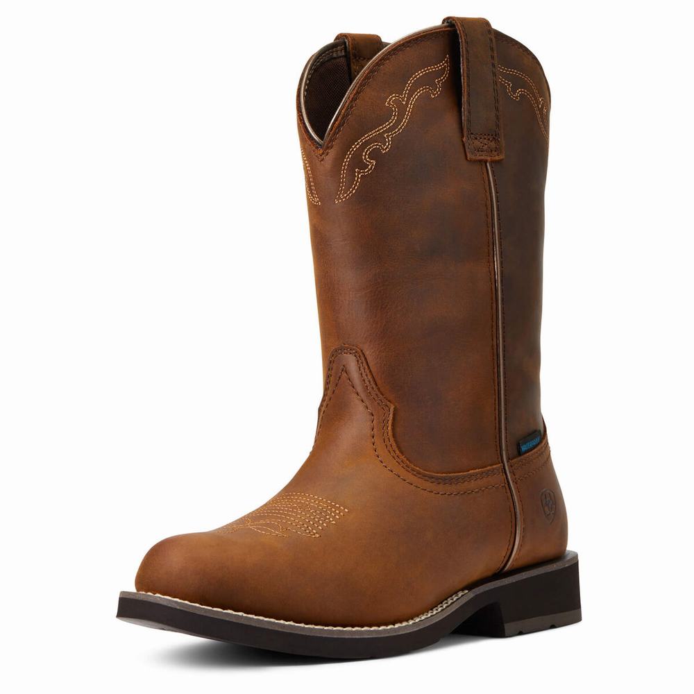 Stivali Western Ariat Delilah Round Punta Impermeabili Donna Marroni | IT352WANP