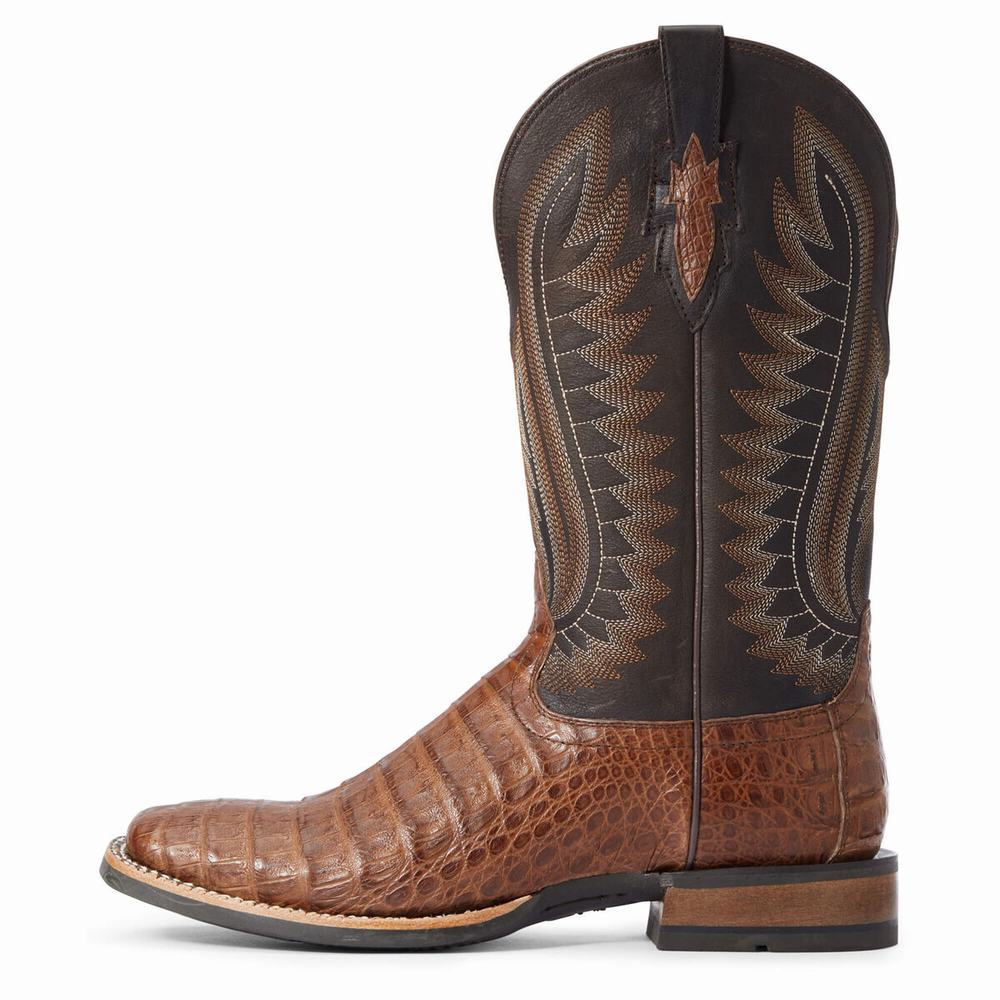 Stivali Western Ariat Double Uomo Colorate | IT308AUKY