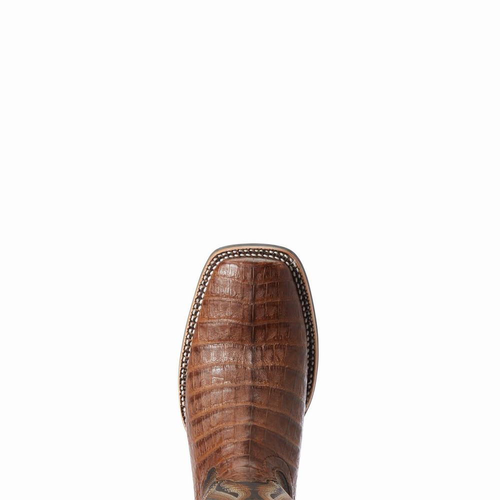 Stivali Western Ariat Double Uomo Colorate | IT308AUKY