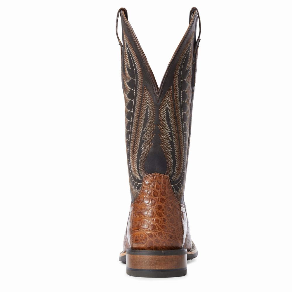 Stivali Western Ariat Double Uomo Colorate | IT308AUKY