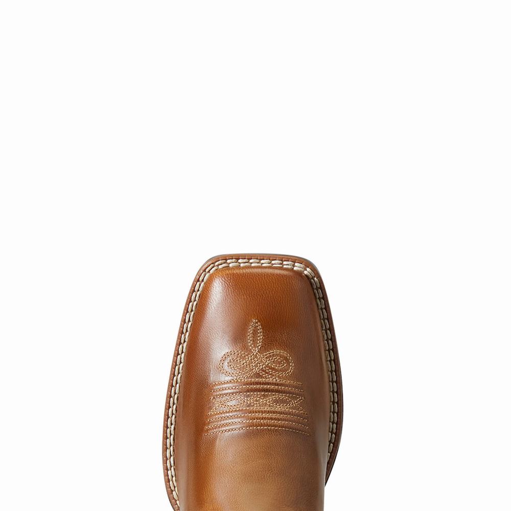 Stivali Western Ariat Edgewood Donna Colorate | IT035NHUJ