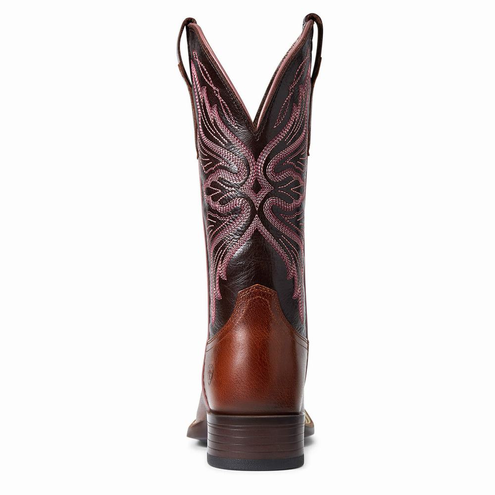 Stivali Western Ariat Edgewood Donna Colorate | IT891CBIT