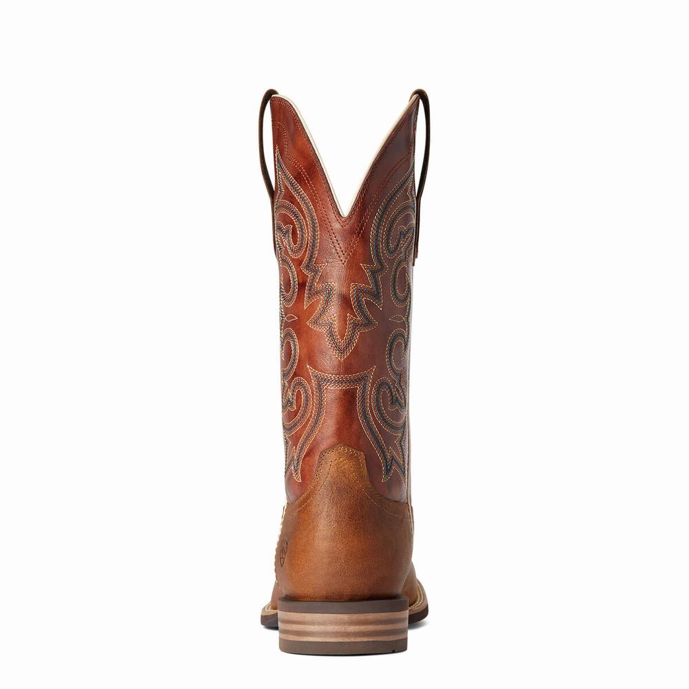 Stivali Western Ariat Everlite Go Getter Uomo Colorate | IT789TFAJ