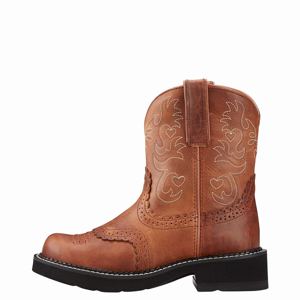 Stivali Western Ariat Fatbaby Saddle Donna Colorate | IT017PIKT