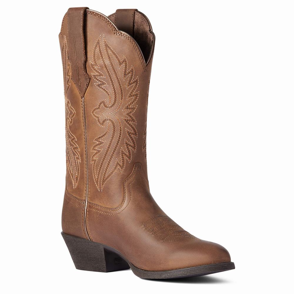 Stivali Western Ariat Heritage R Punta Donna Marroni | IT836LNIQ