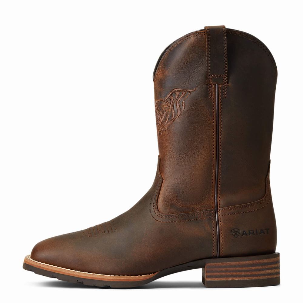 Stivali Western Ariat Ibrido Fly High Uomo Marroni | IT380JIAM