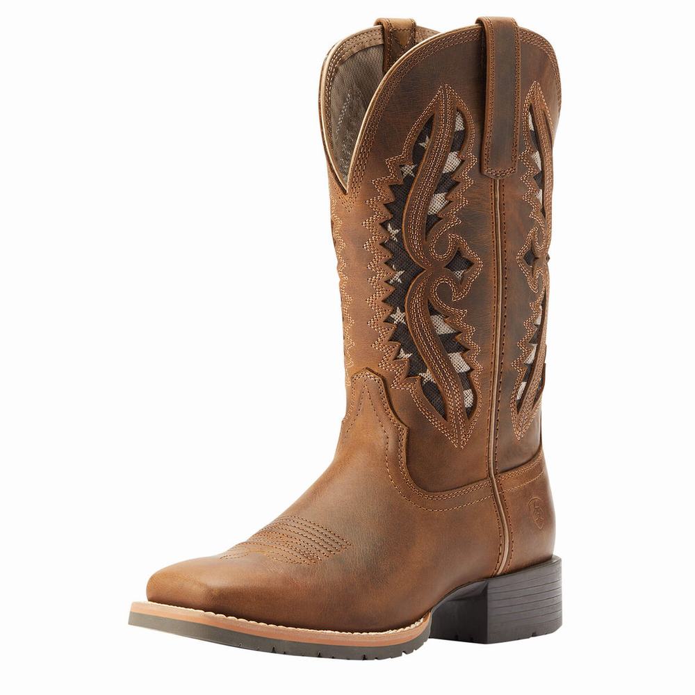 Stivali Western Ariat Ibrido Rancher VentTek 360 Donna Marroni | IT958YXSG