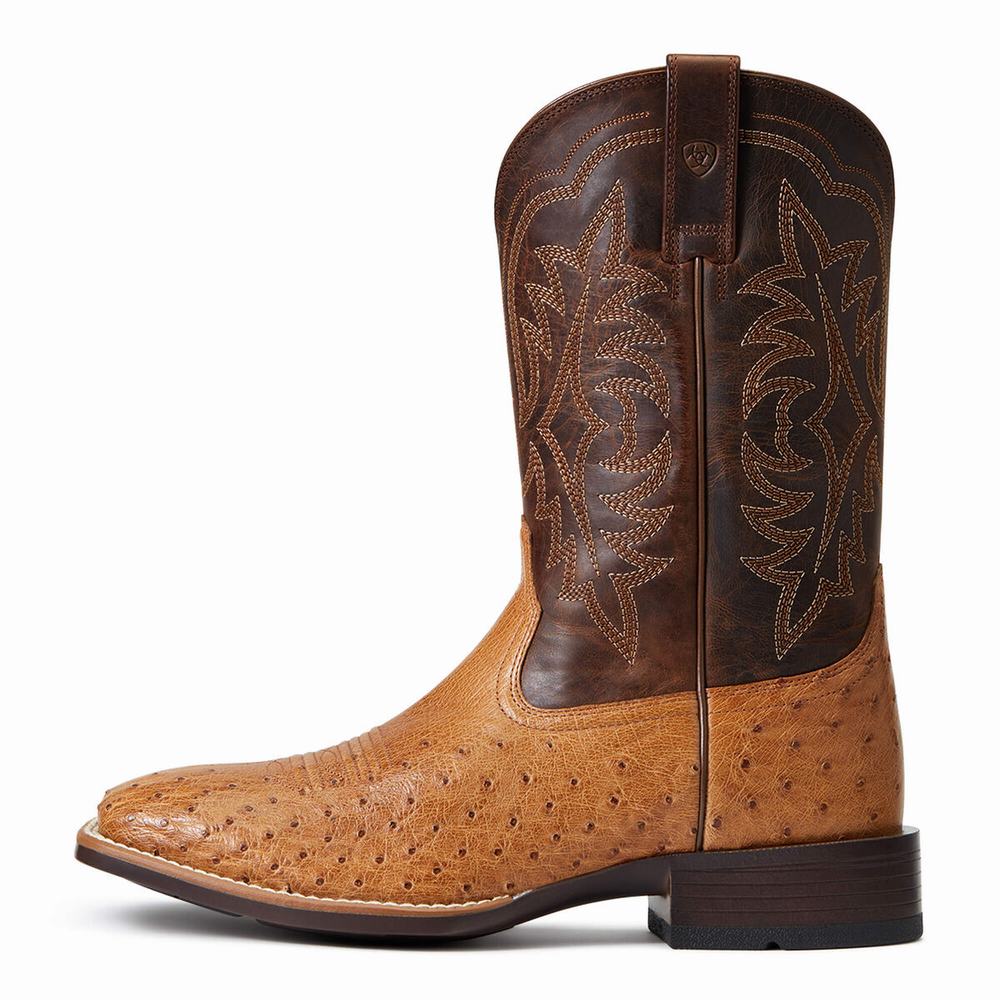 Stivali Western Ariat Night Life Ultra Uomo Colorate | IT264JBTE