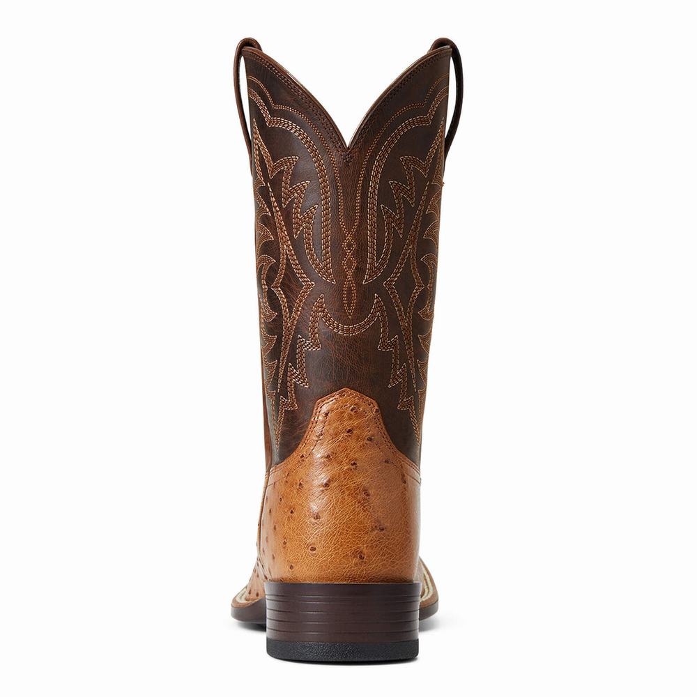 Stivali Western Ariat Night Life Ultra Uomo Colorate | IT264JBTE