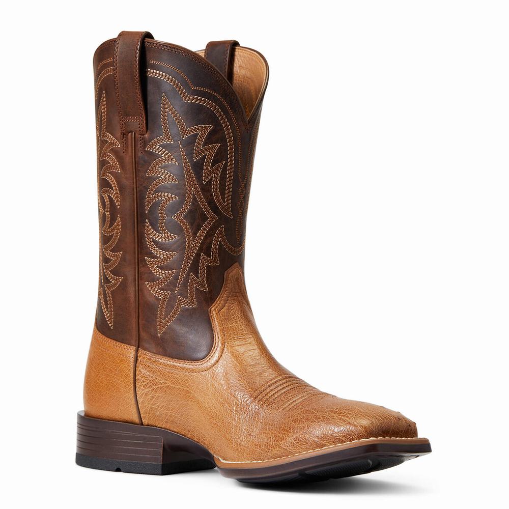 Stivali Western Ariat Night Life Ultra Uomo Colorate | IT264JBTE