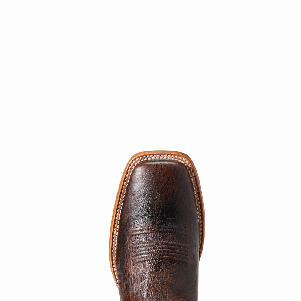 Stivali Western Ariat Parada Uomo Colorate | IT056NHGW