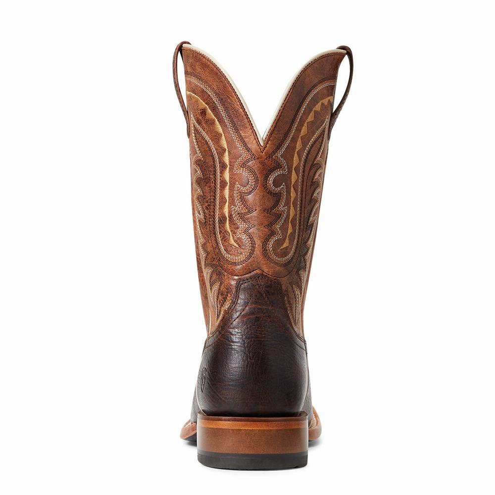 Stivali Western Ariat Parada Uomo Colorate | IT056NHGW