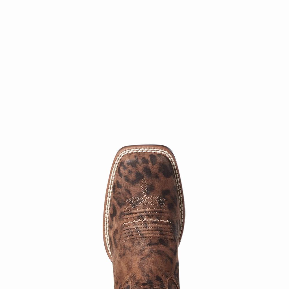 Stivali Western Ariat PrimeTime Donna Leopardate | IT689ROCI