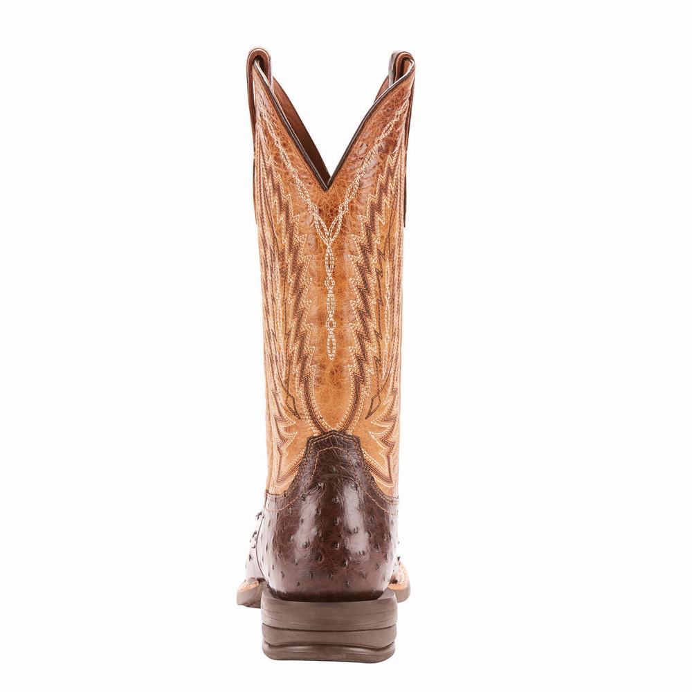 Stivali Western Ariat Relentless Platinum Uomo Colorate | IT371VHMY