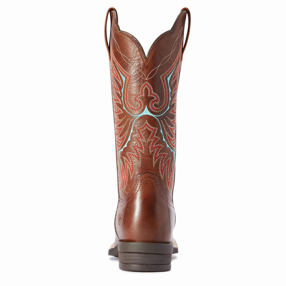 Stivali Western Ariat Rockdale Donna Marroni | IT286OVJB