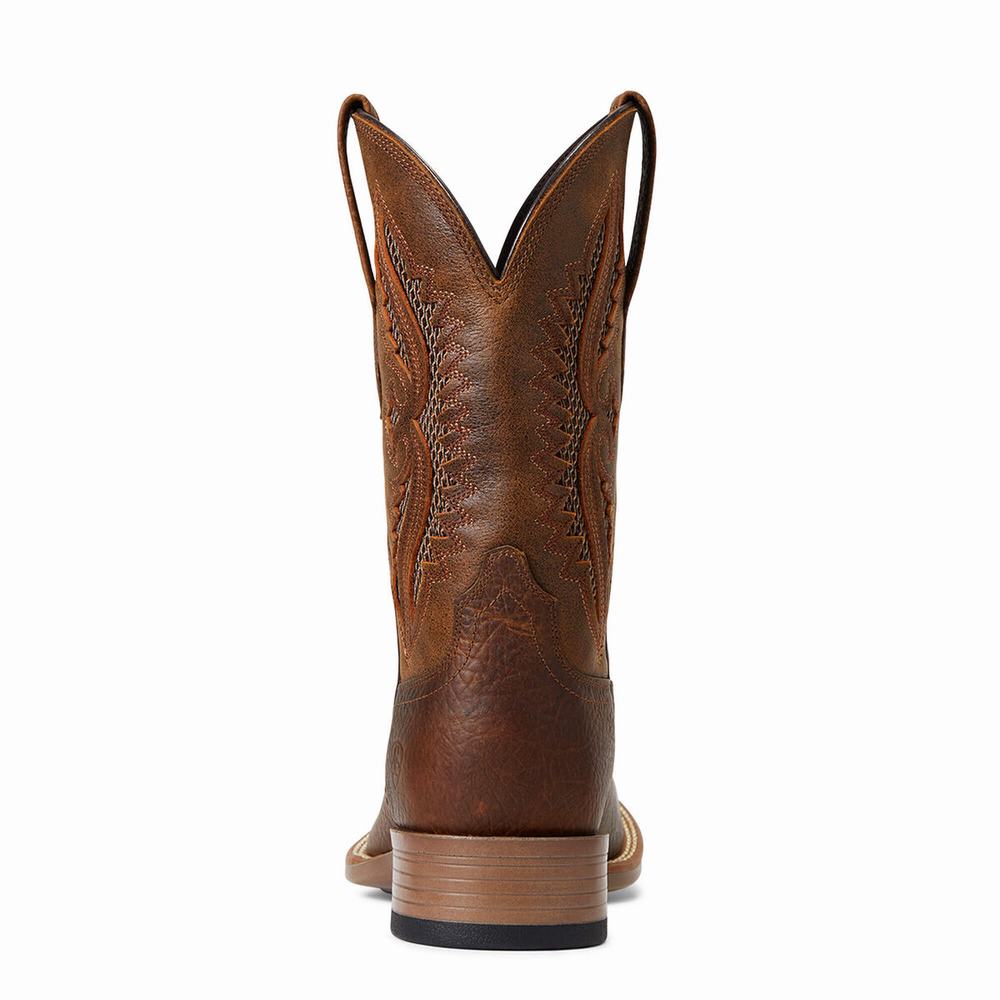 Stivali Western Ariat Rowder VentTEK 360 Uomo Colorate | IT241ZPEH