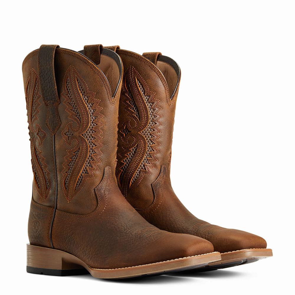 Stivali Western Ariat Rowder VentTEK 360 Uomo Colorate | IT241ZPEH