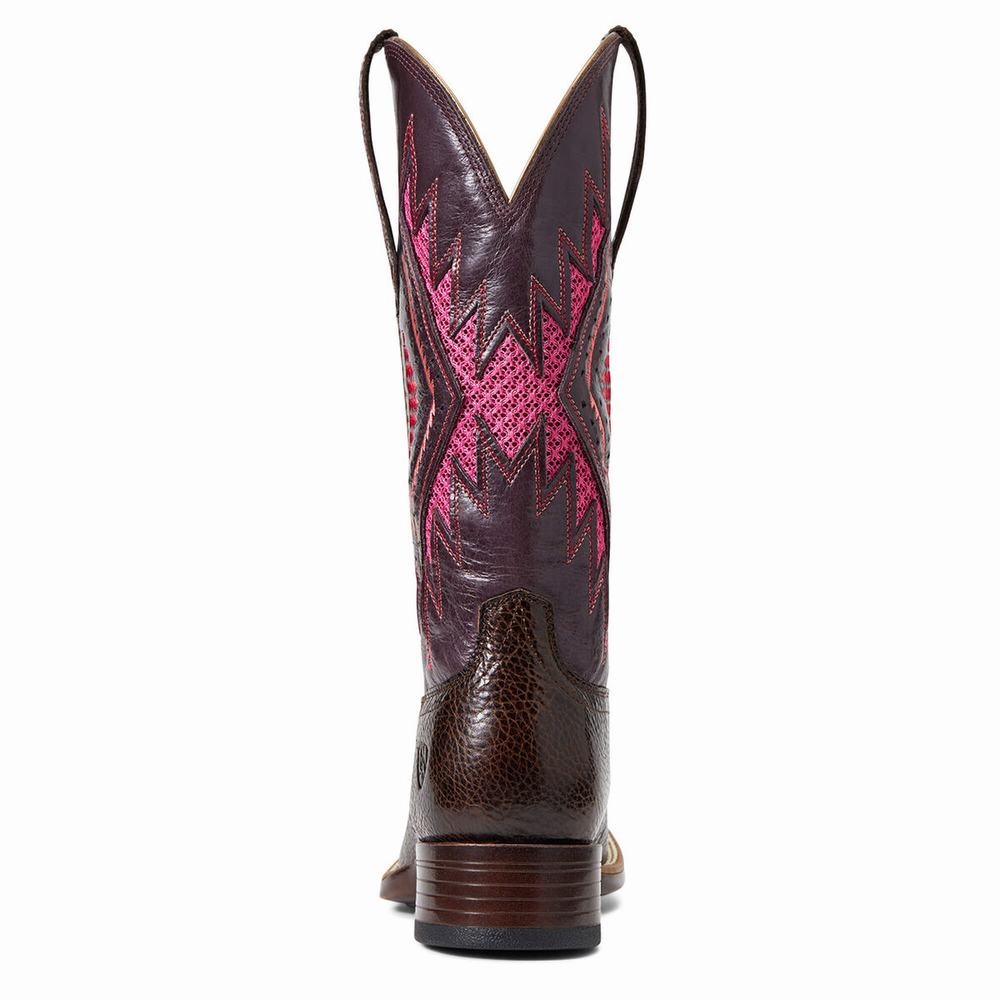 Stivali Western Ariat Sienna VentTek 360 Donna Cioccolato | IT087GDWB