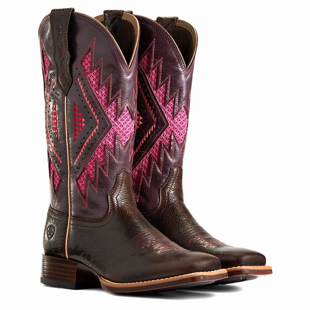 Stivali Western Ariat Sienna VentTek 360 Donna Cioccolato | IT087GDWB