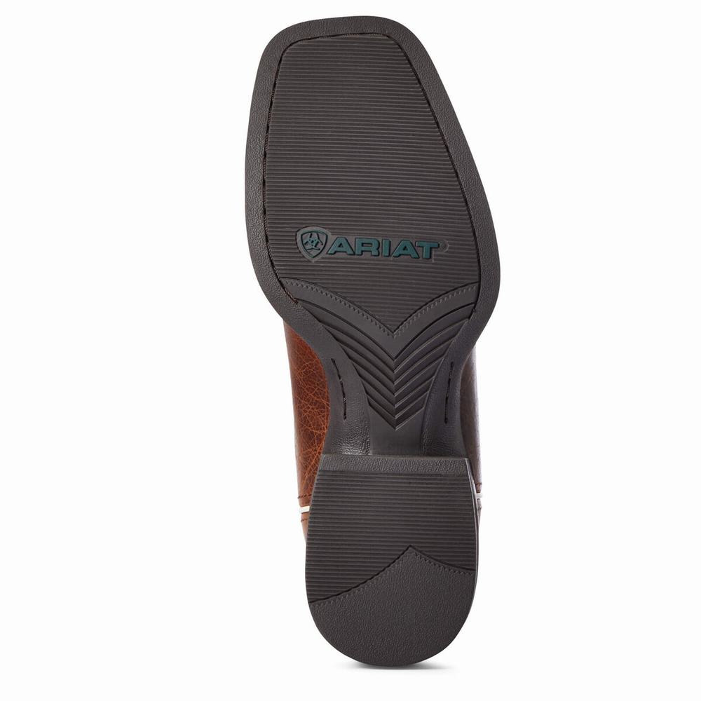 Stivali Western Ariat Sportive Knockout Uomo Colorate | IT958FQLT