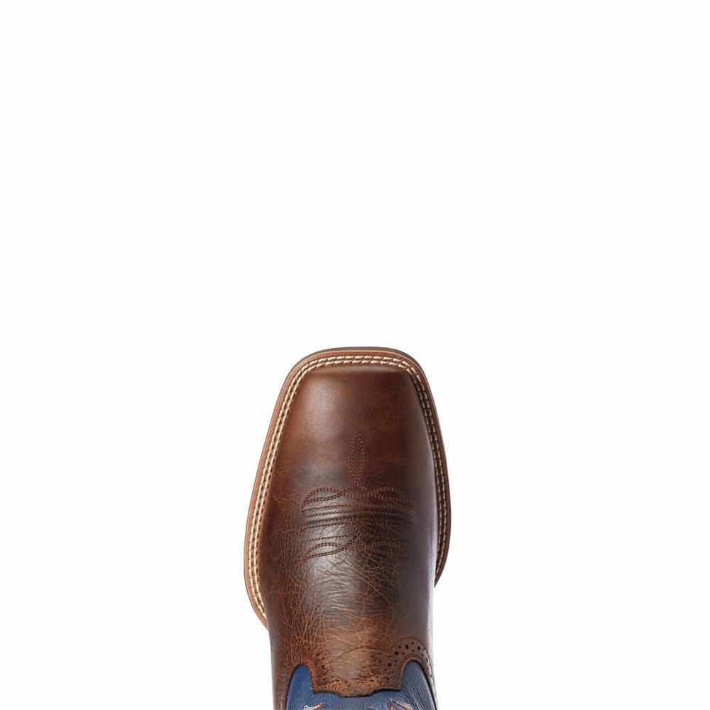 Stivali Western Ariat Sportive Knockout Uomo Colorate | IT958FQLT