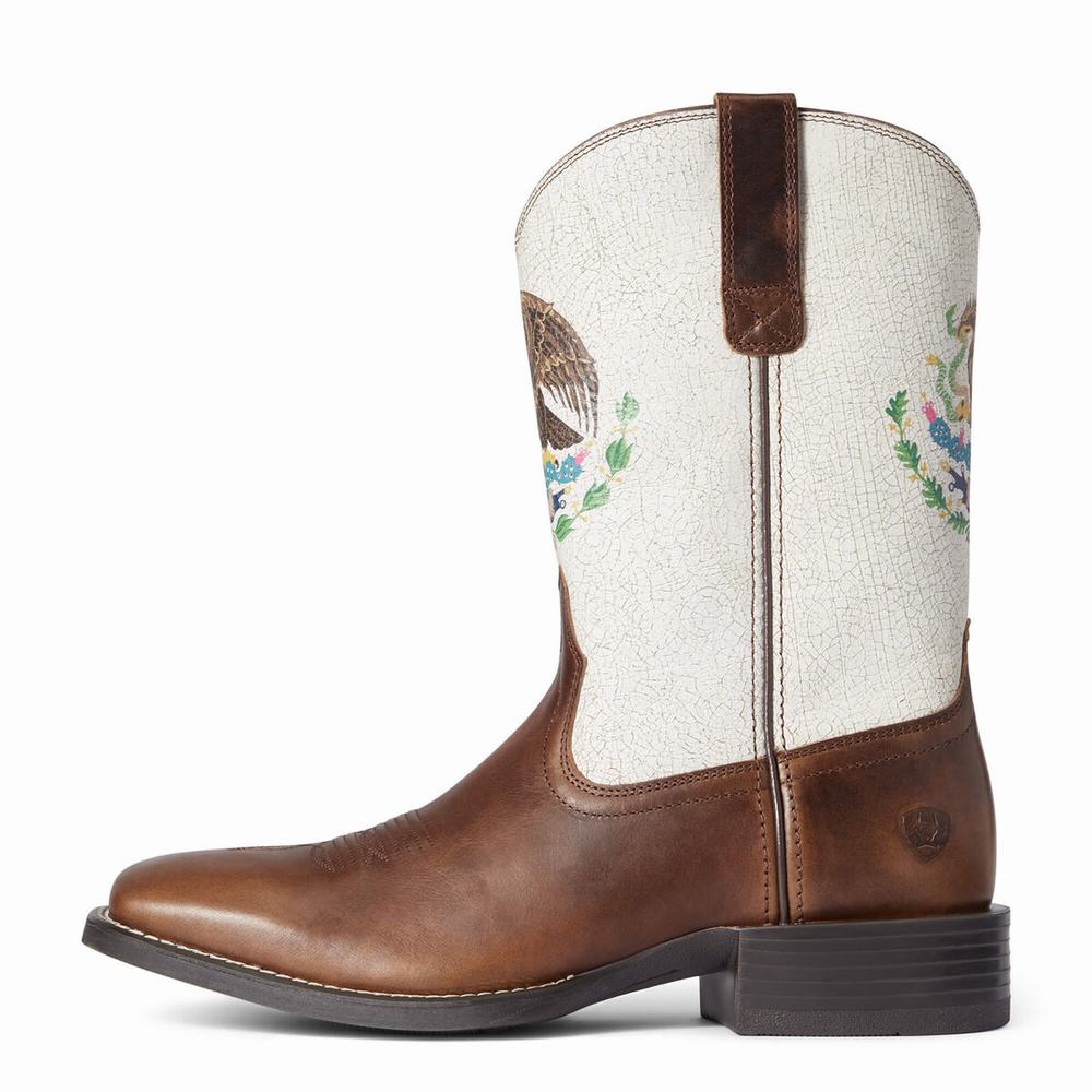 Stivali Western Ariat Sportive Orgullo Mexicano Uomo Cioccolato | IT056FIZE