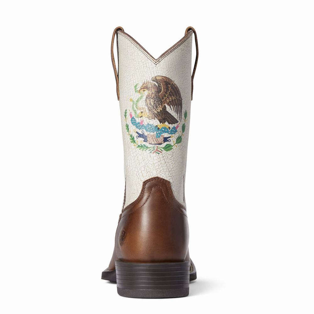 Stivali Western Ariat Sportive Orgullo Mexicano Uomo Cioccolato | IT056FIZE