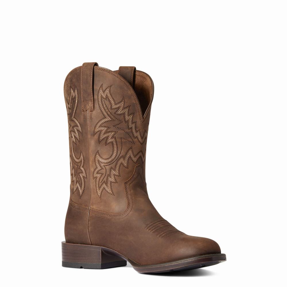 Stivali Western Ariat Stockman Ultra Uomo Marroni | IT539GUVM