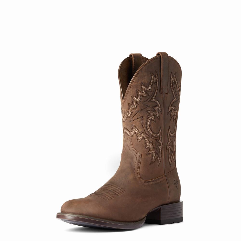 Stivali Western Ariat Stockman Ultra Uomo Marroni | IT539GUVM