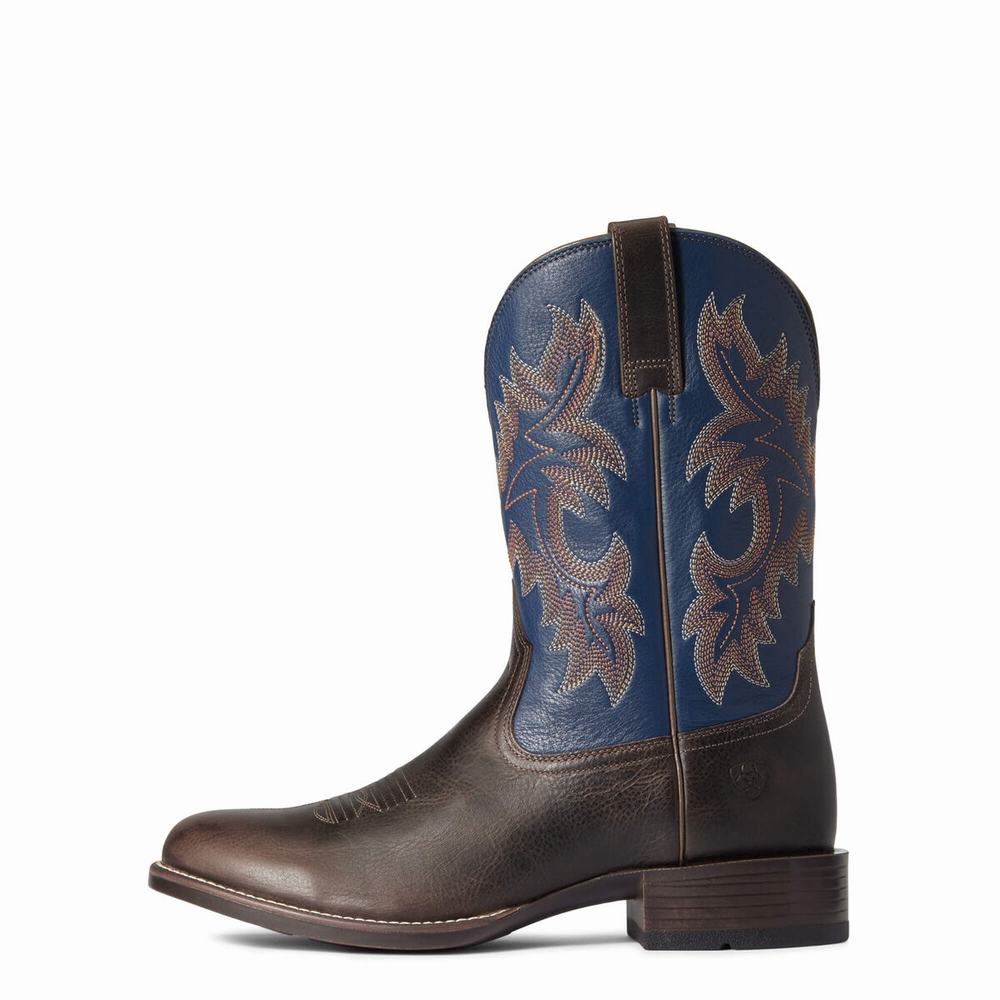 Stivali Western Ariat Stockman Ultra Uomo Colorate | IT856WFRT