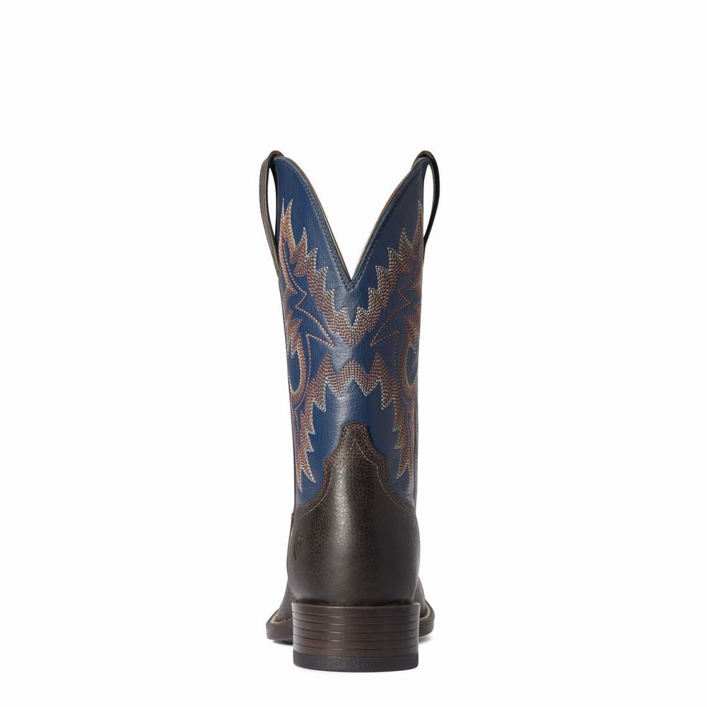 Stivali Western Ariat Stockman Ultra Uomo Colorate | IT856WFRT