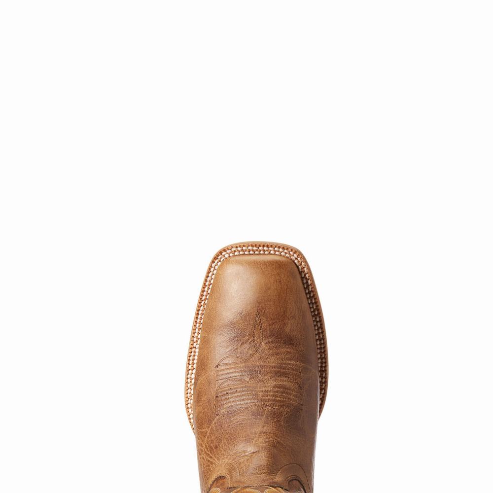 Stivali Western Ariat Toledo Uomo Beige | IT046VIYZ