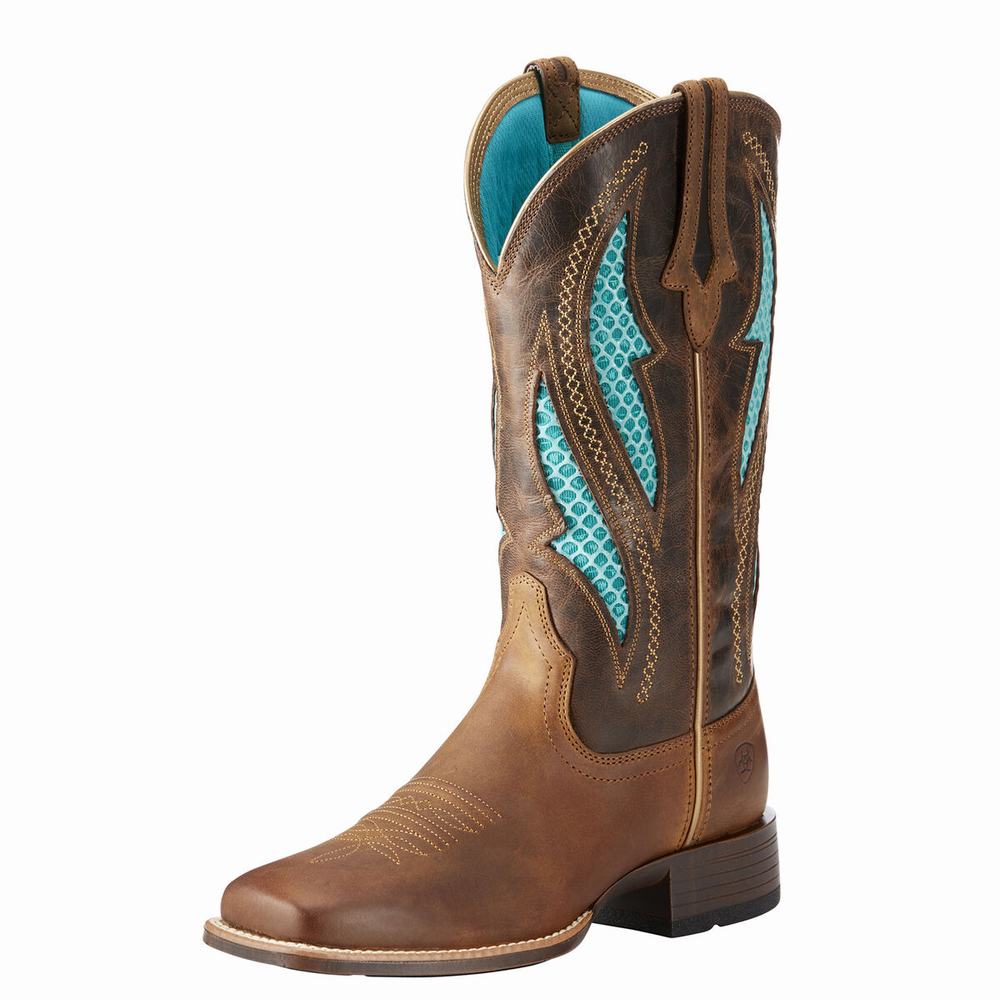 Stivali Western Ariat VentTEK Ultra Donna Marroni | IT460RSTU