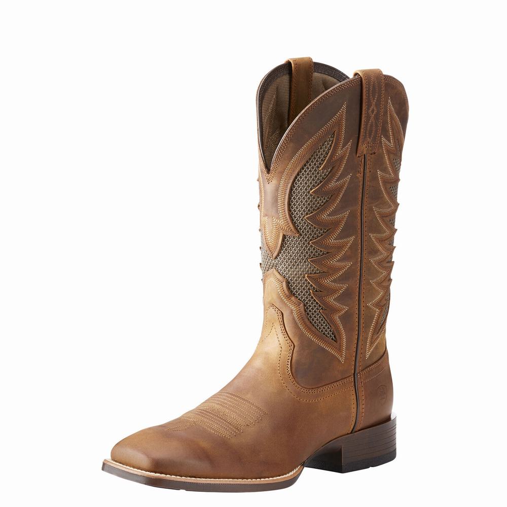 Stivali Western Ariat VentTEK Ultra Uomo Marroni | IT692CYVJ