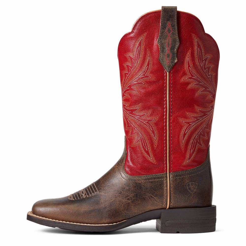 Stivali Western Ariat West Bound Donna Colorate | IT604UZPO