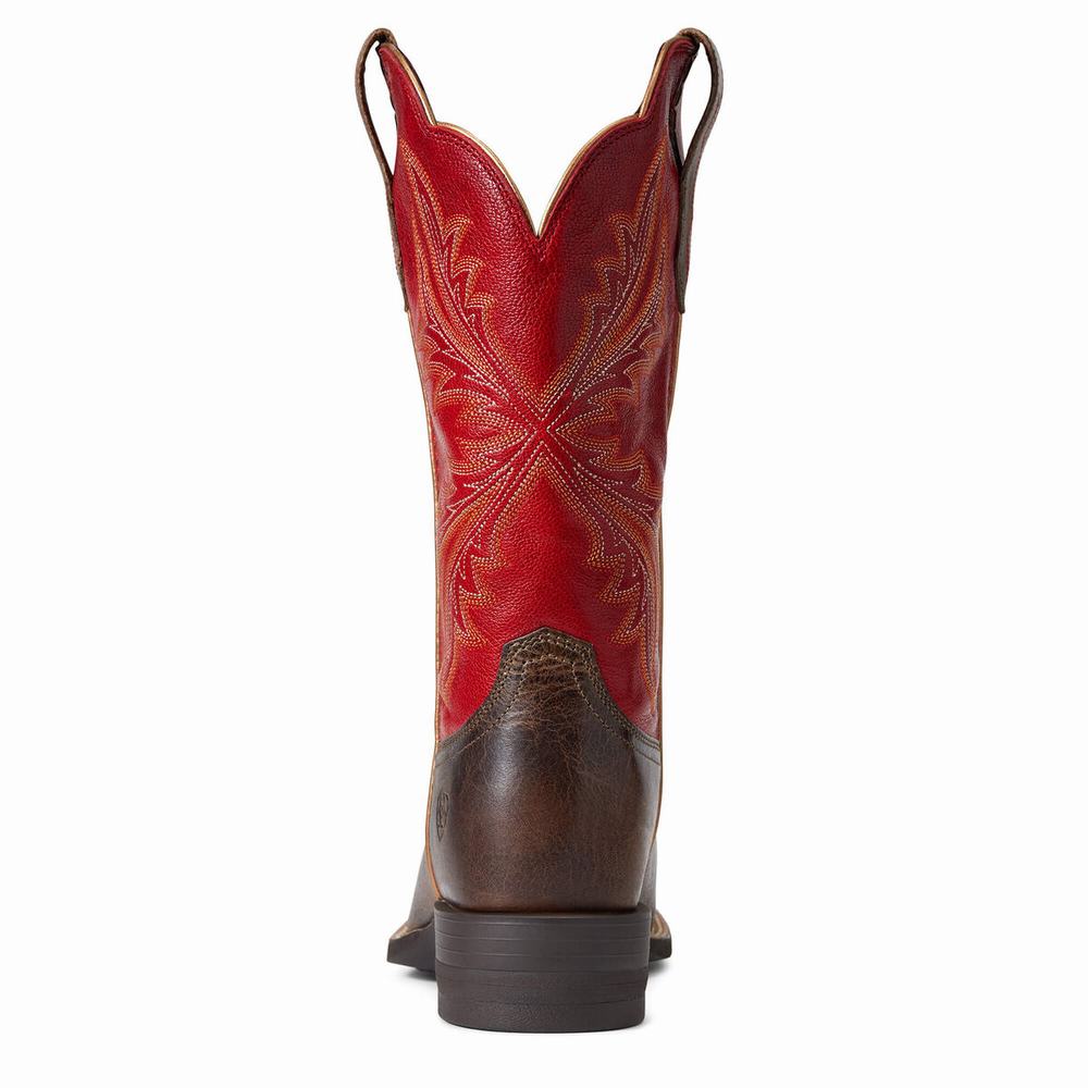 Stivali Western Ariat West Bound Donna Colorate | IT604UZPO