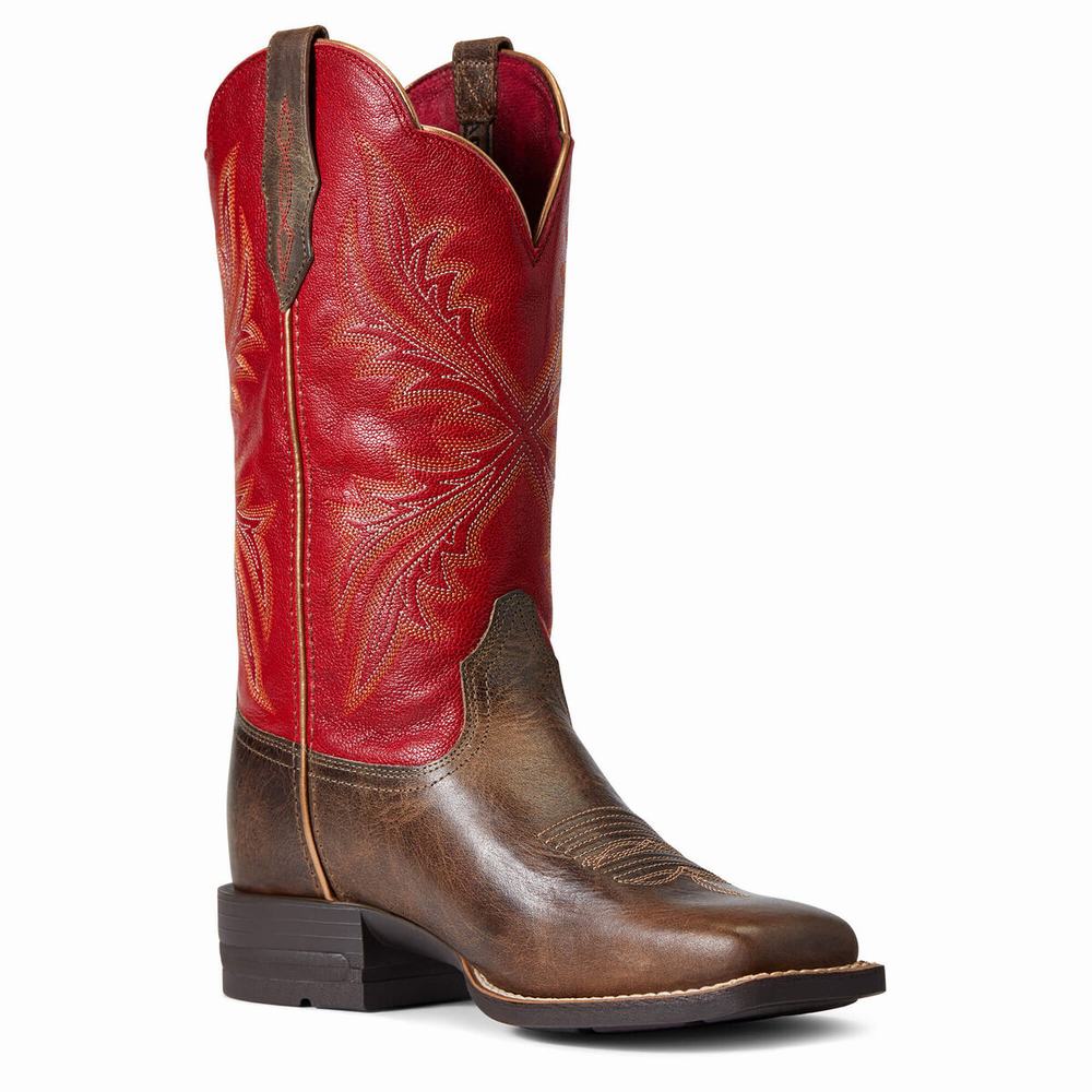 Stivali Western Ariat West Bound Donna Colorate | IT604UZPO