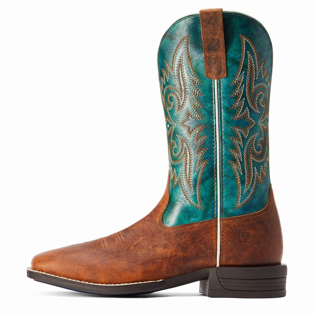 Stivali Western Ariat Wild Thang Uomo Marroni | IT917NRDB