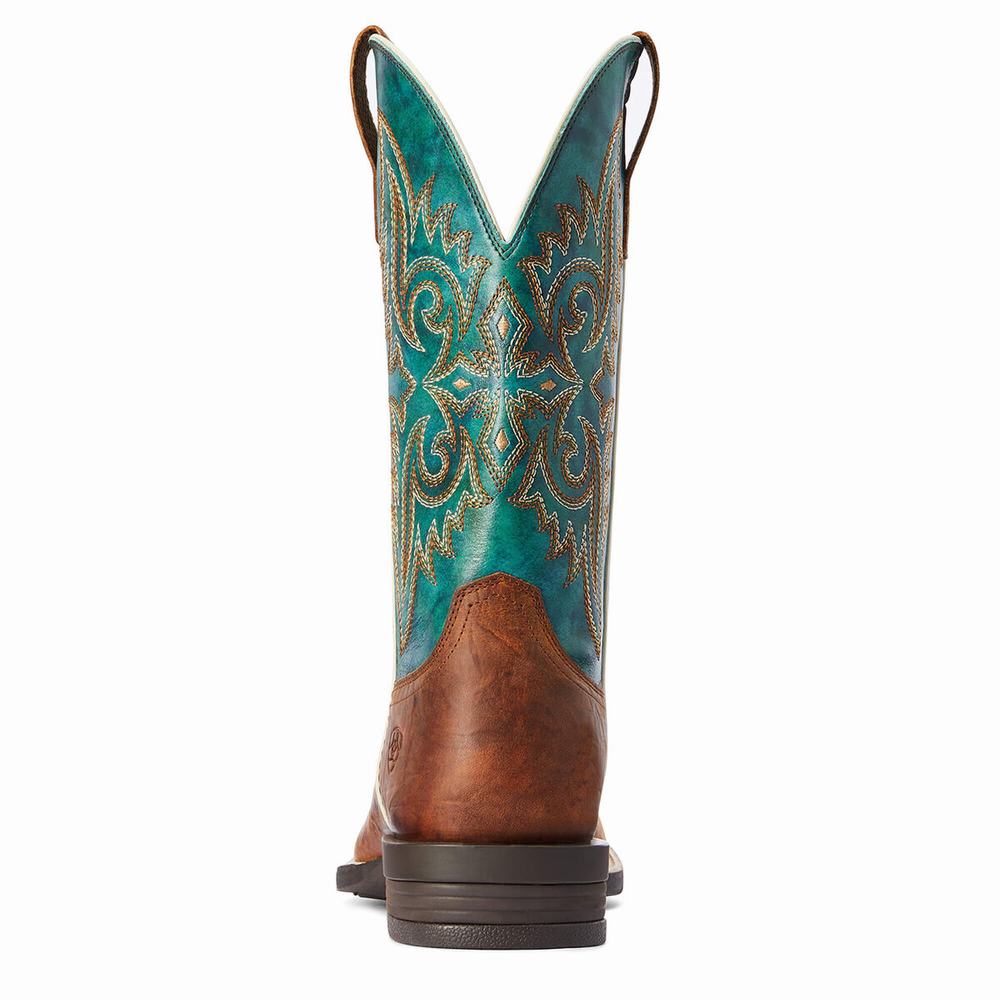 Stivali Western Ariat Wild Thang Uomo Marroni | IT917NRDB