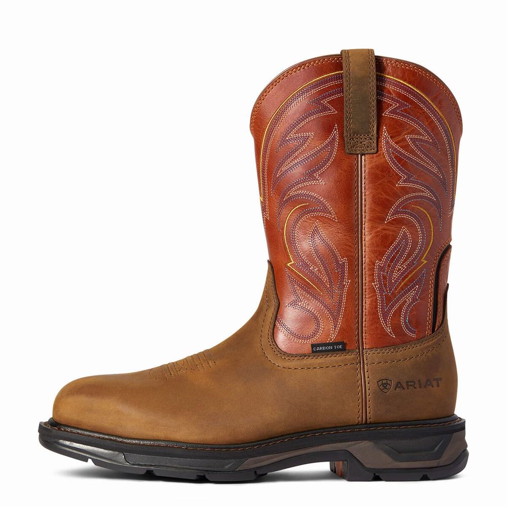 Stivali da Lavoro Ariat WorkHog XT Cottonwood Carbon Punta Uomo Colorate | IT270IMVP