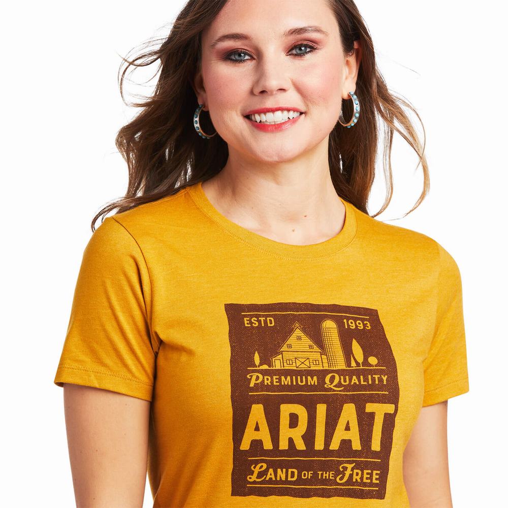 Top Ariat Farmland Donna Colorate | IT740AMUH