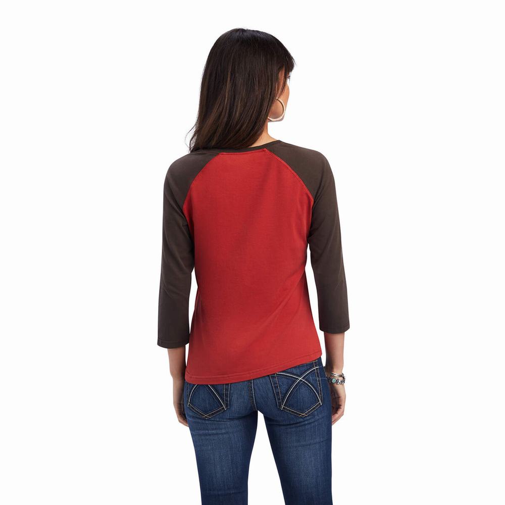 Top Ariat REAL Arrow Classiche Fit Donna Colorate | IT702YKTA