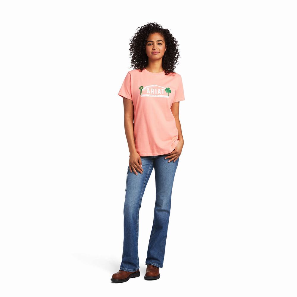 Top Ariat Rebar Cotone Strong Farm Grafica Donna Colorate | IT751ENCB