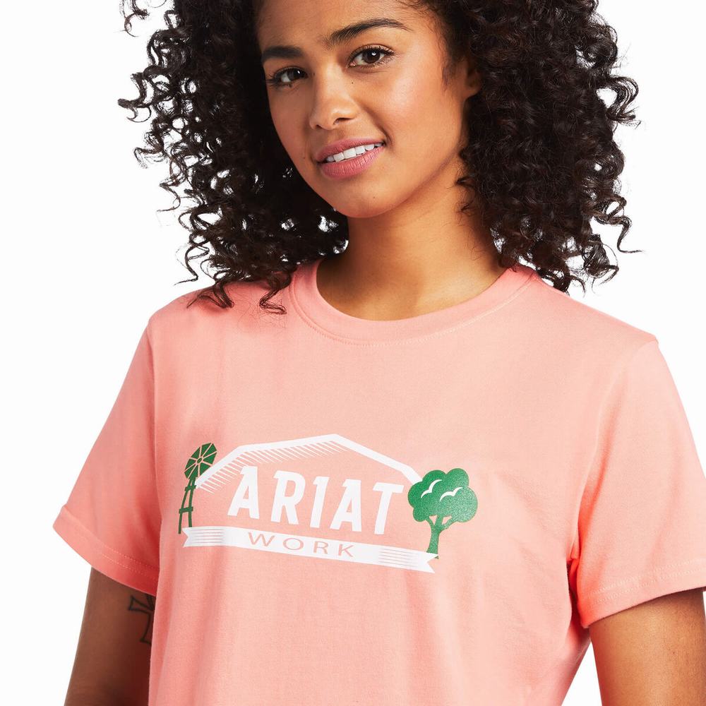 Top Ariat Rebar Cotone Strong Farm Grafica Donna Colorate | IT751ENCB